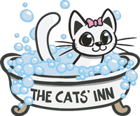 Cat Grooming Services