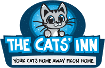 Your Cat's Home Away From Home
