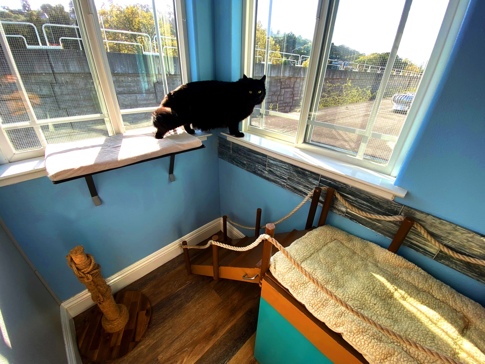 Boat Dock Playroom For Cats | The Cat's Inn