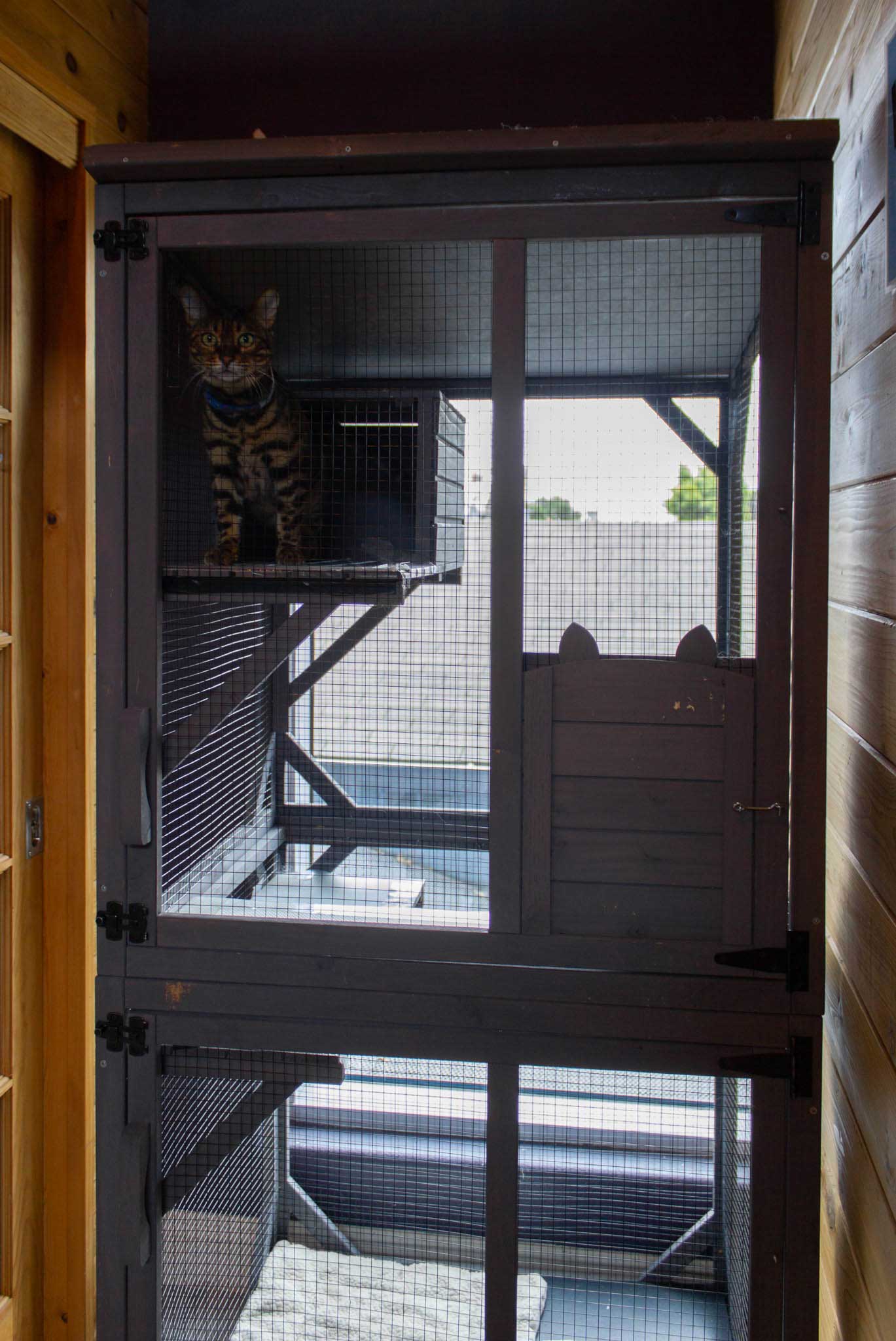 Zen Playroom For Cats | The Cat's Inn