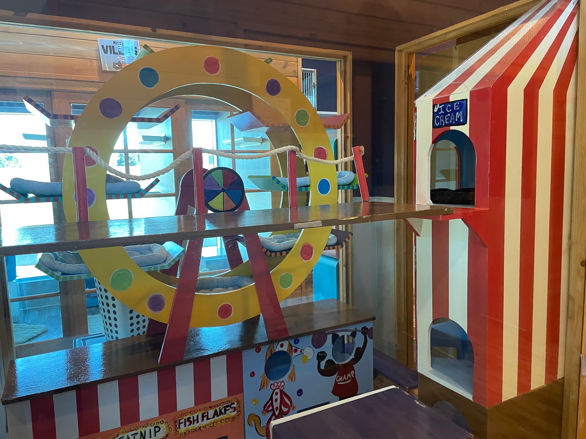 Carnival Playroom For Cats | The Cat's Inn