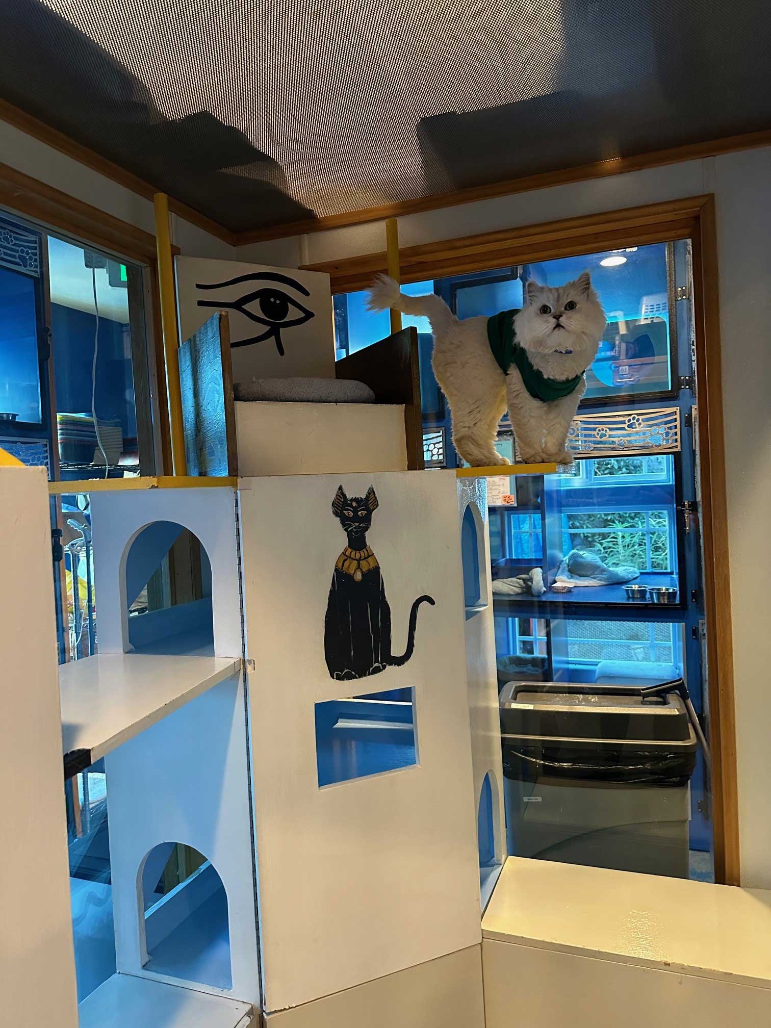 Egyptian Cat Playroom | The Cat's Inn